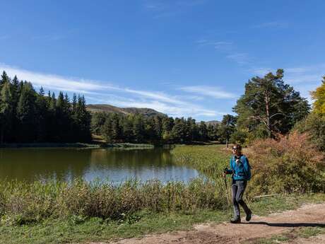 Botanique et pleine nature