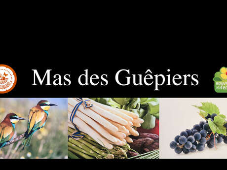 Mas des Guépiers
