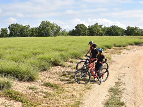 Site VTT FFC-Pays d'Oraison-Coeur de Durance-Circuit 4-Rouge-Oraison