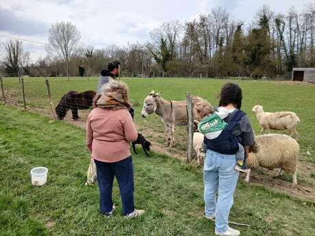 Ferme de découverte  Denola