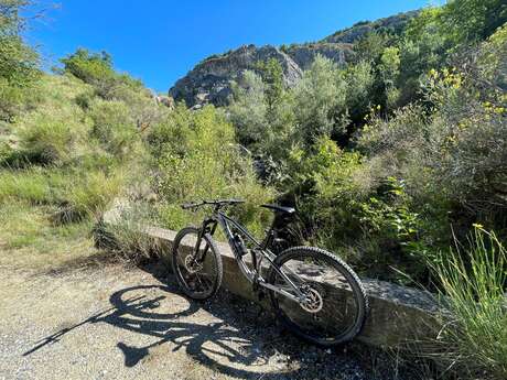 VTT n°19 - Le tour des Augiers