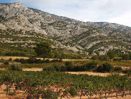 Domaine Sainte-Lucie