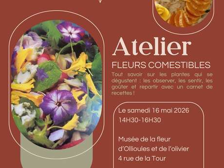 Workshop Essbare Blumen im Blumenmuseum