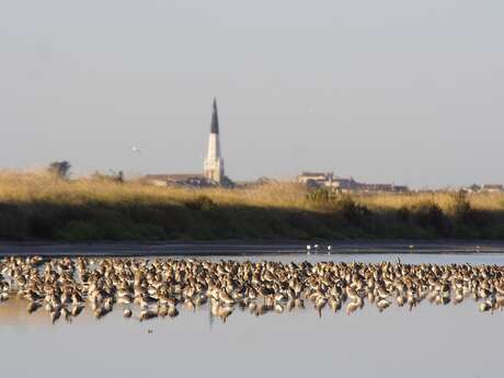 Sortie nature poétique et musicale