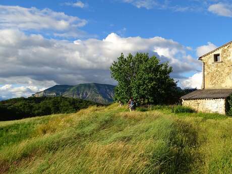 Circuit des fermes (N°16)