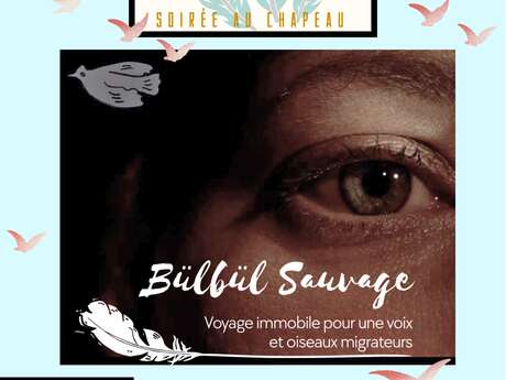 Bulbul Sauvage
