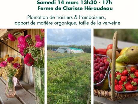 Chantier participatif « Ramène ta fraise » : Ferme de Clarisse Héraudeau