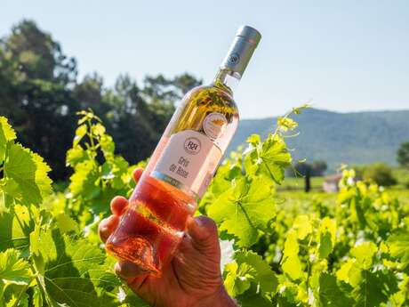 Les Vignerons de La Sainte Baume