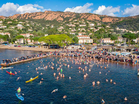 Bain de fin d'année à Agay