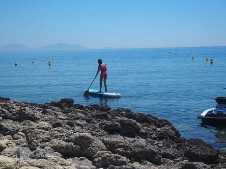 Stand-up Paddle