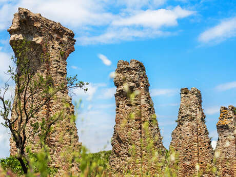 Visite guidée Fréjus : Ville Romaine