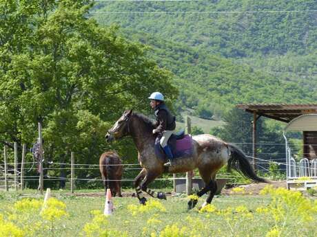 Promenade à cheval - Poney Club de Thor