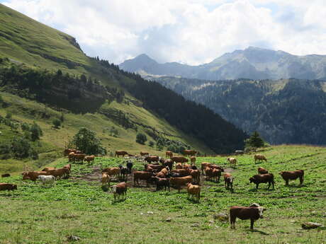 Hiking: Les Chalets de Lens