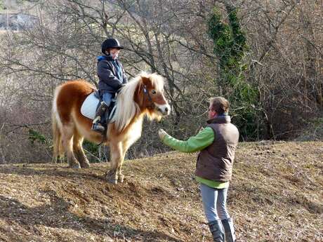 Baby Poney au Poney Club du Thor