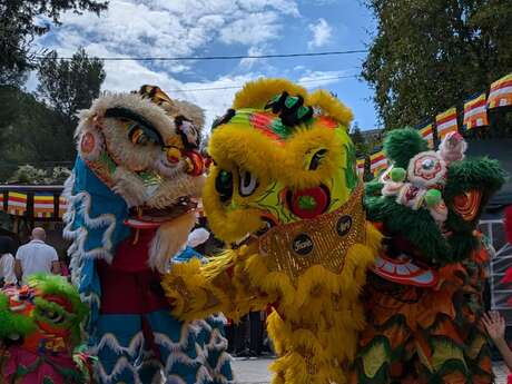 Lion dance (Múa Lân) by the Thanh Long Võ Đạo France school of Vietnamese martial arts - a first in 10 years at the Musée départemental des Arts Asiatiques - Nice