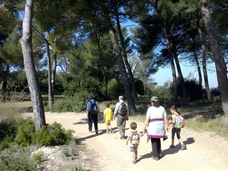 A la découverte du loup - 1/2 journée