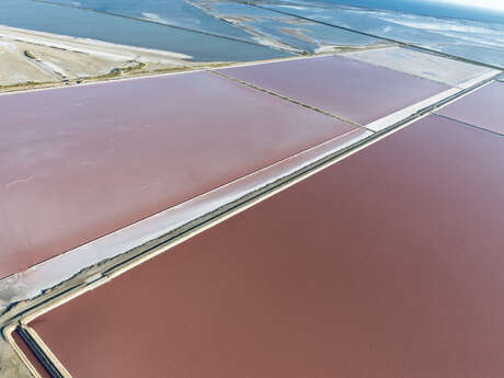 Vélo en liberté dans le salin