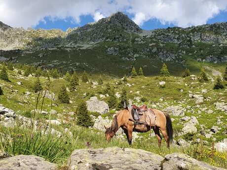 Les Chevaux des Crêts - Balade à Cheval