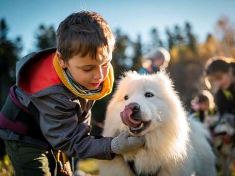 2-day stay accessible to people with reduced mobility - Sled dogs cani-kart