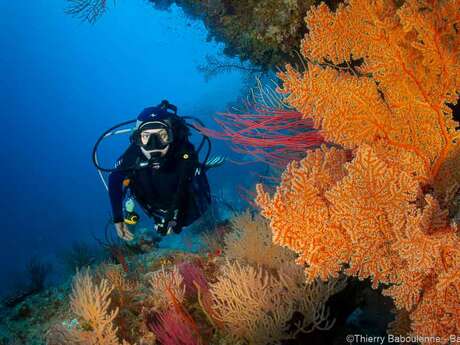 Formation de plongée sous-marine - Babou Côté Océan