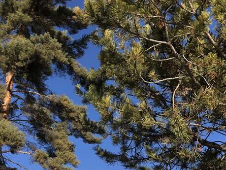 Appartement 4 personnes - le Cheynet 2 n°14