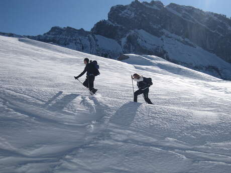 The snowy peaks