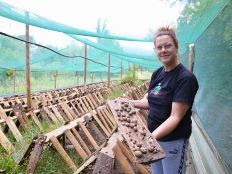 L'escargot du Ventoux