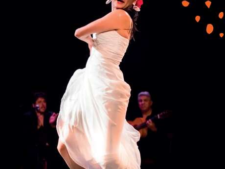 Spectacle danse flamenco "El Aire"