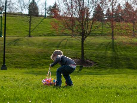 Chasse aux œufs