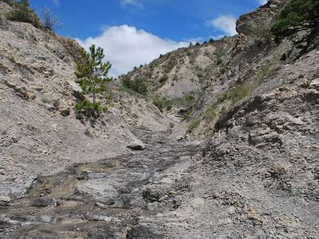 Canyon des Eysserennes