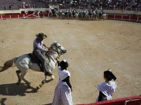 La Camargue aux Arènes