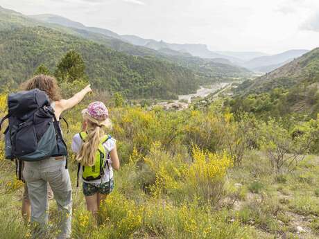 A la découverte des orchidées