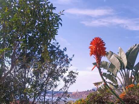 92nd Fête du Citron® -Guided tour: Twilight tour