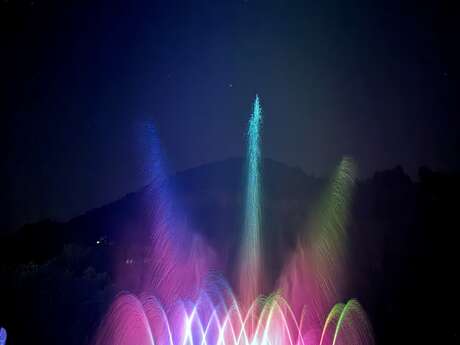 A magical aquatic light show