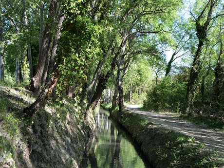 Bouches-du-Rhône en Paysages - Miramas, entre ombres et lumières