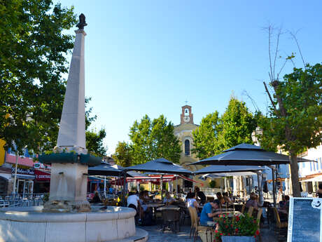 Fountain on Place Paul Flamenq