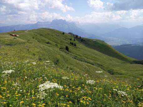 Sortie Nature - Découverte de la biodiversité avec Natura 2000