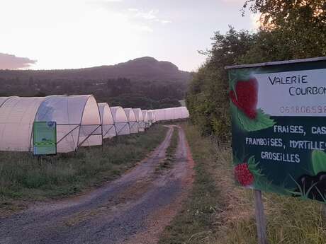 Gaec les baies du Lizieux
