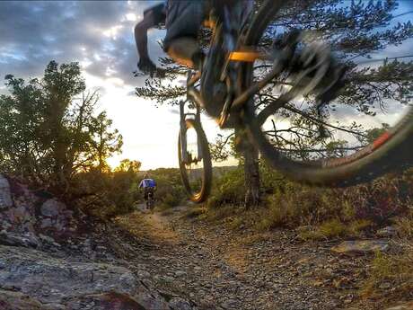 Site VTT FFC - Provence Verdon - Circuit 20 - Bleu