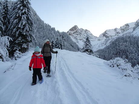 Snowshoe nature walk