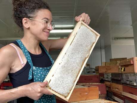 Les ruchers d'Amélie