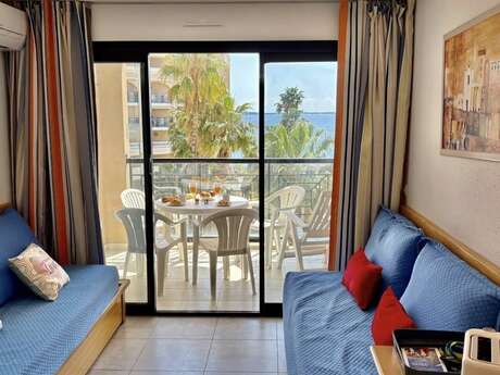 Palme d'Azur 527