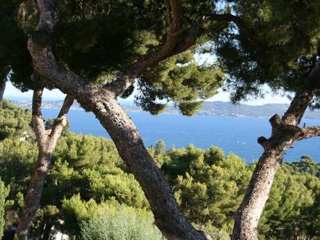 Villa T5 - 10 personnes