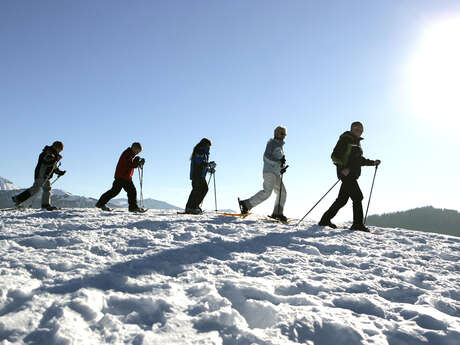 Sortie raquettes "Au Mont du Villard"
