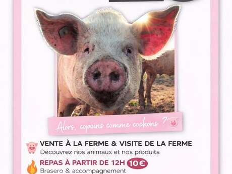 Portes ouvertes à la ferme Al Païs