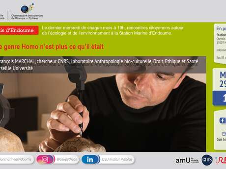 Les mercredis d’Endoume / Le genre Homo n'est plus ce qu'il était.