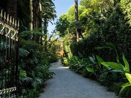 Visite-atelier famille au Val Rahmeh : la Barbe de Jupiter a du Souci à se faire !