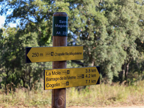 Sentier de la Mole à Cogolin par la Chapelle Sainte-Magdeleine