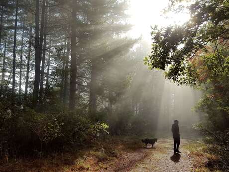 Plateau de Garenne (N°7)