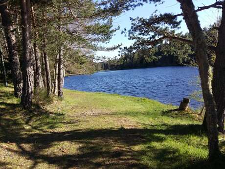 "Goûter le paysage"